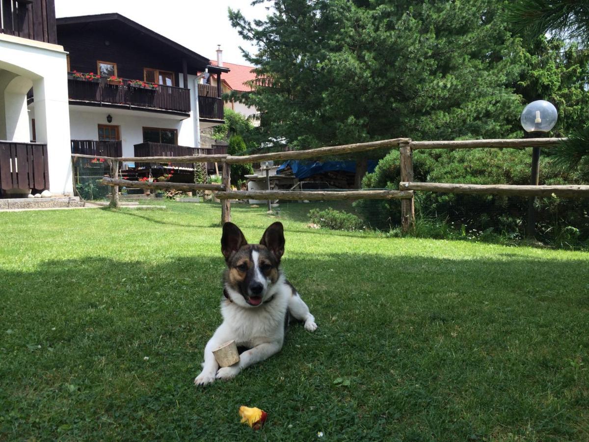 Penzion Pazicky Stará Lesná Buitenkant foto